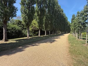 Photo 13- click for photo gallery